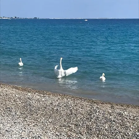 Hotel Bleu Riviera Cagnes-sur-Mer